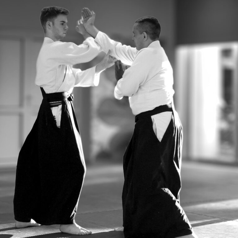 trening Aikido