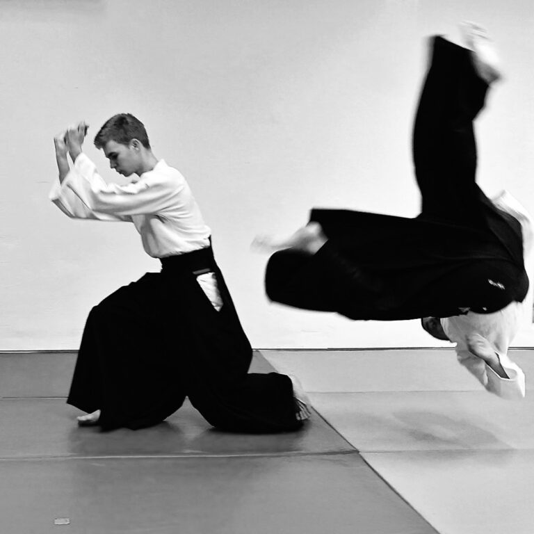 trening Aikido